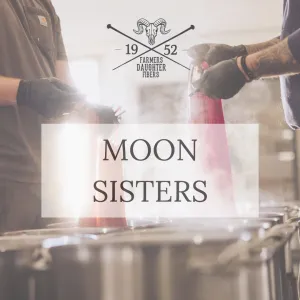 Wholesale Moon Sisters